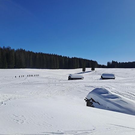 Villa Pokljuka Zgornje Gorje Εξωτερικό φωτογραφία