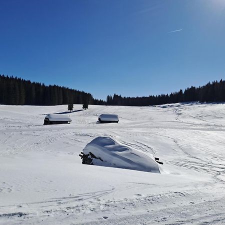 Villa Pokljuka Zgornje Gorje Εξωτερικό φωτογραφία