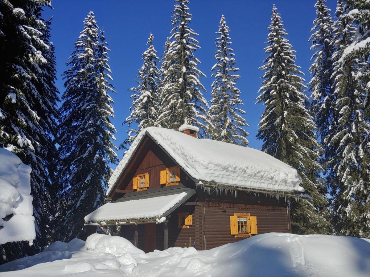 Villa Pokljuka Zgornje Gorje Εξωτερικό φωτογραφία