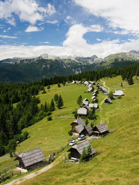 Villa Pokljuka Zgornje Gorje Εξωτερικό φωτογραφία