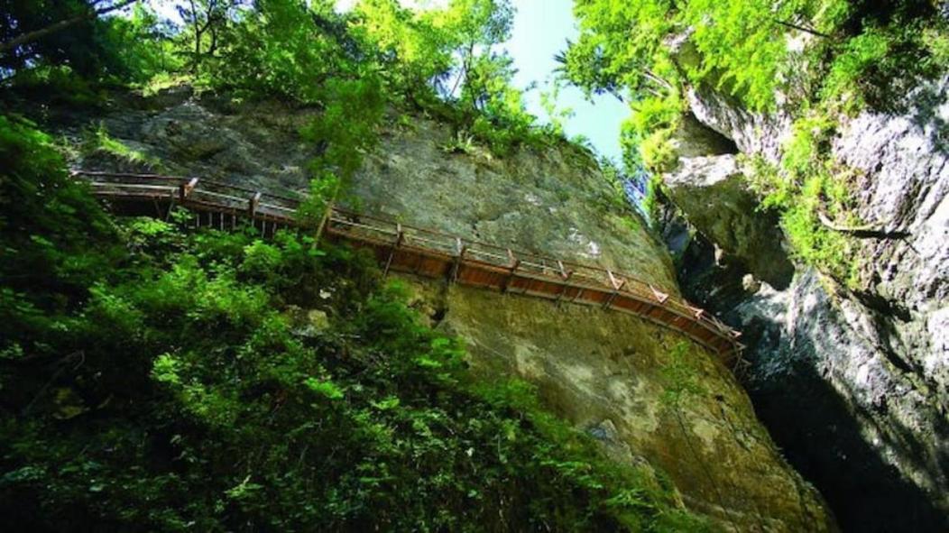 Villa Pokljuka Zgornje Gorje Εξωτερικό φωτογραφία