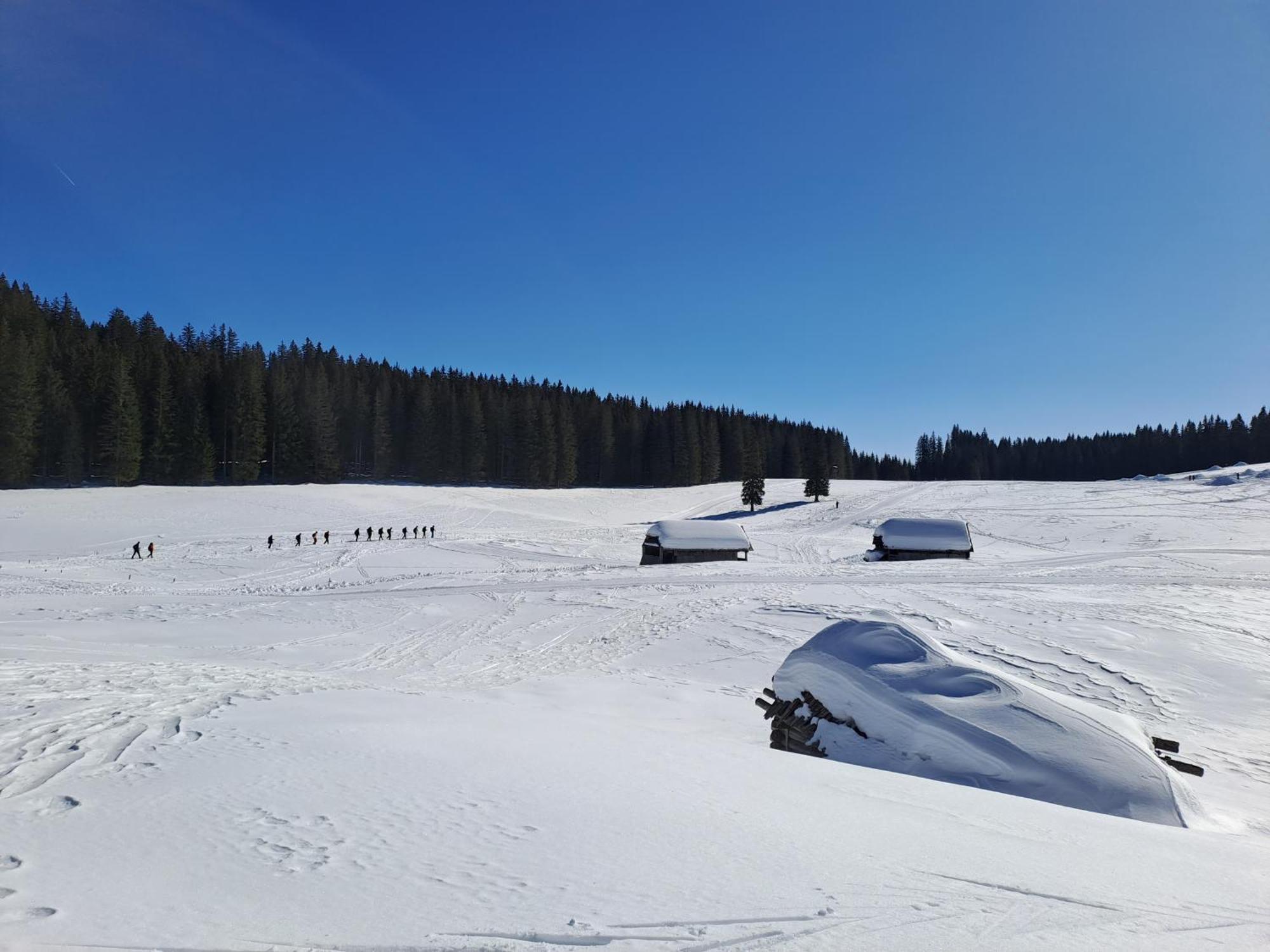 Villa Pokljuka Zgornje Gorje Εξωτερικό φωτογραφία