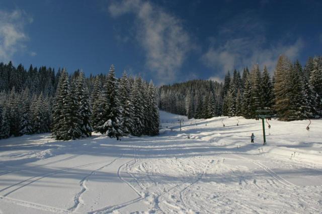 Villa Pokljuka Zgornje Gorje Εξωτερικό φωτογραφία