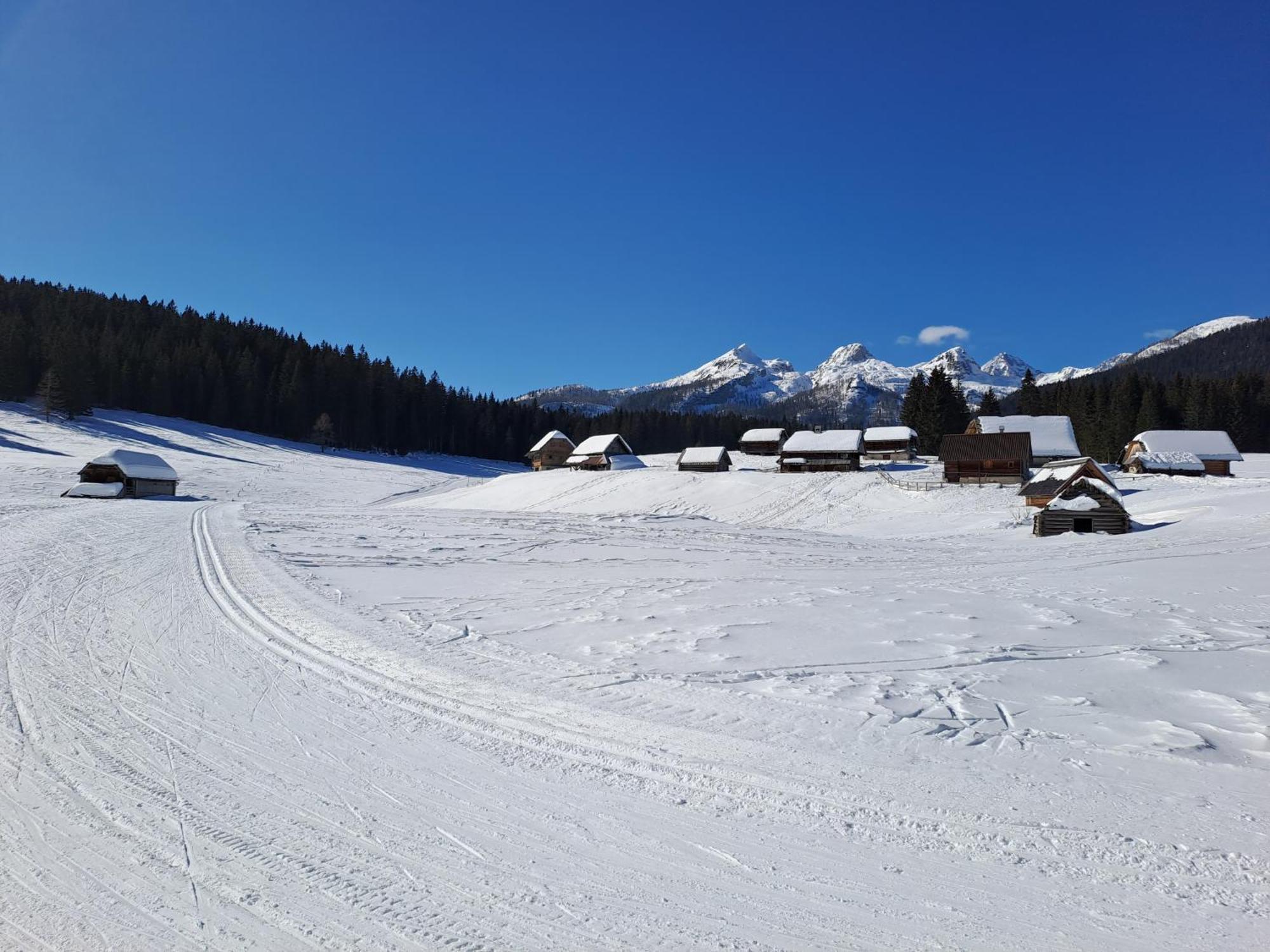 Villa Pokljuka Zgornje Gorje Εξωτερικό φωτογραφία