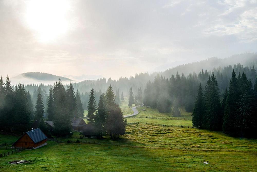 Villa Pokljuka Zgornje Gorje Εξωτερικό φωτογραφία