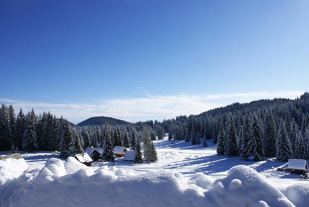 Villa Pokljuka Zgornje Gorje Εξωτερικό φωτογραφία